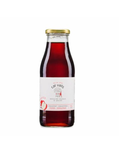 Cal Valls Concentrado de Manzana Liquido eco 500ml/650g