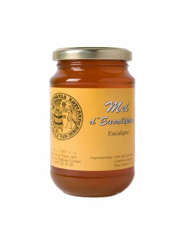 Cal Valls Miel de Eucalipto 500g